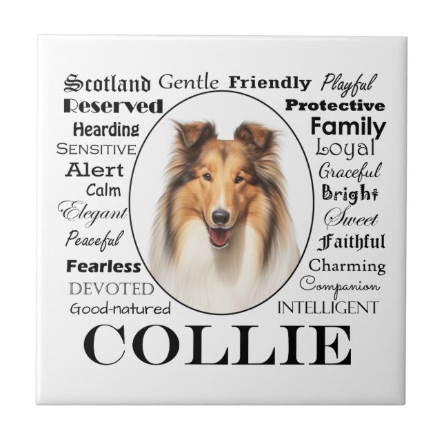 Azulejo Collie Traits (Frente)