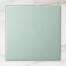 Azulejo Color de acua sólido