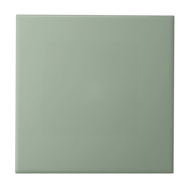 Azulejo Color de tendencia Suave Sage Cerámica Tile (Frente)