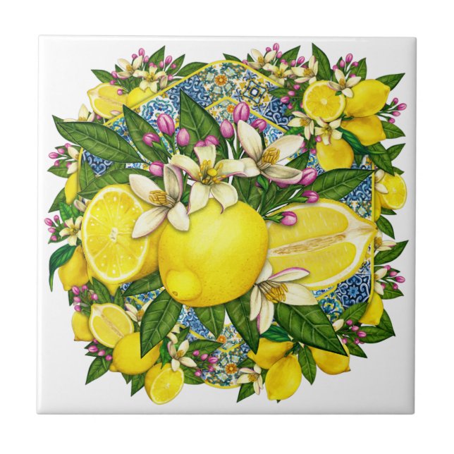 Azulejo Color del patrón mediterráneo 6 Tejido cerámico (Frente)