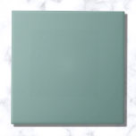Azulejo Color sólido azul acuático<br><div class="desc">Color sólido azul acuático</div>