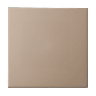 Azulejo Color Sólido Beige Claro Minimalista Elegante