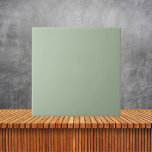 Azulejo Color sólido de la plancha verde de sabio minimali<br><div class="desc">Color sólido de la plancha verde de sabio minimalista</div>