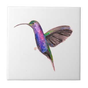 Azulejo Colorante de agua de la fauna y flora de aves de H