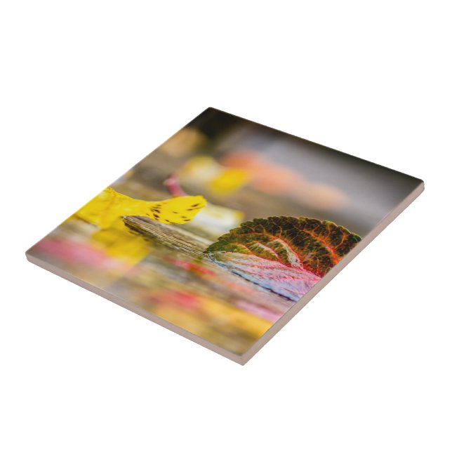 Azulejo Colores de caída (Lado)