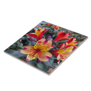 Azulejo Colores de verano