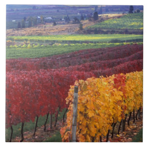 Azulejo Colores intensos rojos y amarillos de otoño en Geh