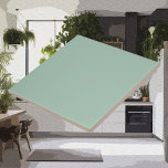 Azulejo Colores modernos: mosaico cerámico de sabores gris<br><div class="desc">Eleva tu experiencia de regalo con nuestra cerámica en sabio grisáceo, la base perfecta para presentar tus regalos envueltos. Utilícelos como galletas elegantes y prácticas para tomar bebidas o como piezas de exhibición elegantes para exhibir tus tesoros envueltos. Las baldosas de cerámica de colores sólidos le dan un toque de...</div>