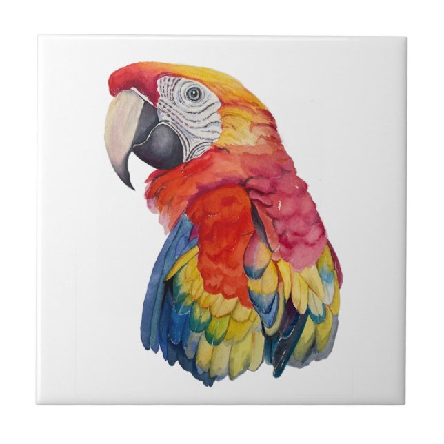 Azulejo Colorful Parrot Watercolor Illustration (Frente)