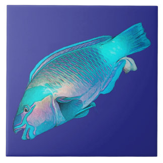 Azulejo Colorful Parrotfish Ocean Blue Sea