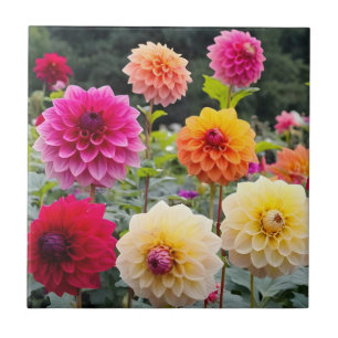 Azulejo Colorido jardín de dahlia