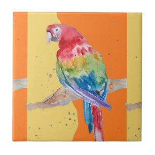 Azulejo Colorido Loro Macaw Watercolor Cerámica Tile