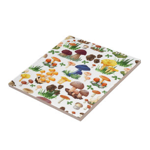 Azulejo Coloridos champiñones