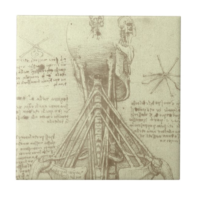 Azulejo Columna espinal de anatomía humana de Leonardo da  (Frente)