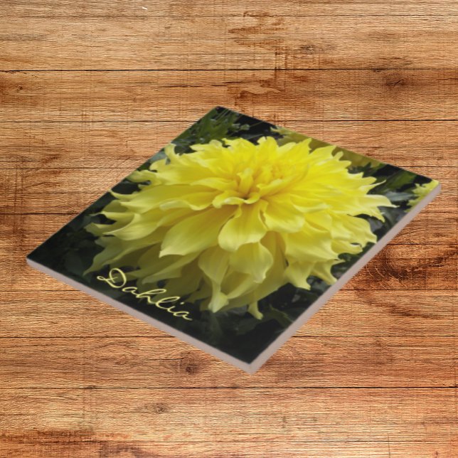 Azulejo Comedor amarillo Plate Dahlia Floral (In Situ)