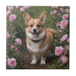 Azulejo "Compañero Encantador: Un Corgi en un Jardín de Ro