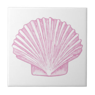 Azulejo Concha de berberecho rosa costera