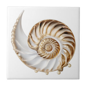 Azulejo Concha de nautilus perla 3D lustre dorado océano n