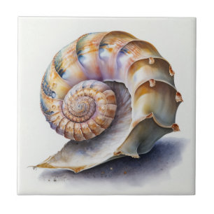 Azulejo Concha marina en espiral en acuarela pastel