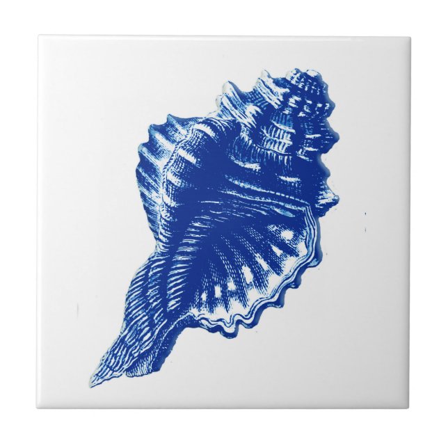Azulejo Concha Shell, azules añiles y blanco (Frente)