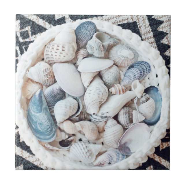 Azulejo Conchas de tema de la playa Cesta de textura de al (Frente)