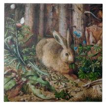 Conejo en el bosque