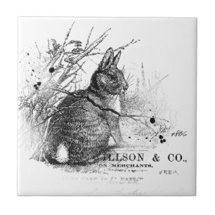 Azulejo Conejo en pincel blanco y negro
