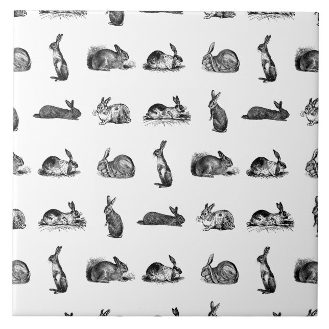 Azulejo Conejo Vintage Bunnios clásicos PERSONALIZADO BG C (Frente)