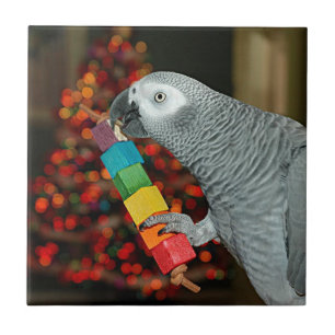 Azulejo Congo: Loro gris africano, árbol navideño