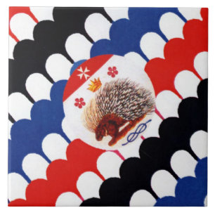Azulejo Contrada Sovrana dell' Istrice (Porcupine) Palio