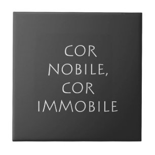Azulejo Cor nobile cor inmóvil