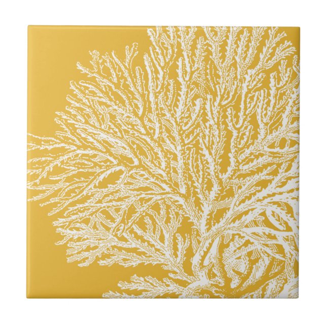 Azulejo Coral amarillo y blanco (Frente)