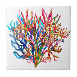 Azulejo Coral del aguardiente