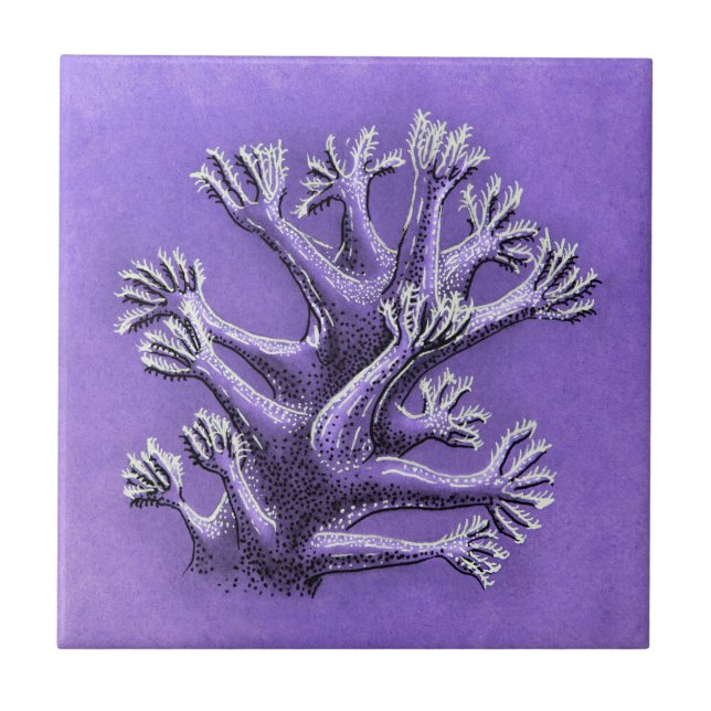 Azulejo Coral Reef Purple Marine Biology Art (Frente)