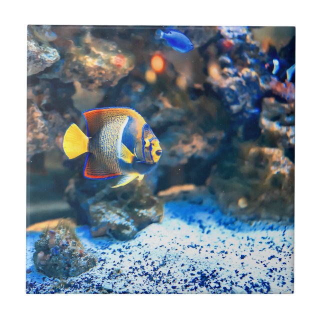 Azulejo Coral tropical vibrante submarino de los pescados (Frente)