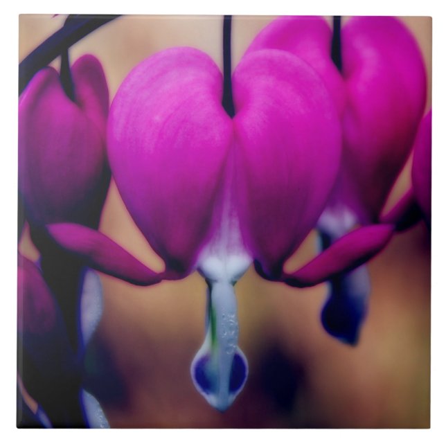 Azulejo Corazones sangrantes rosados florales (Frente)