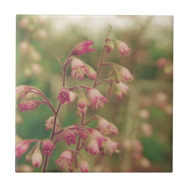 Azulejo Corelbeles, flores de primavera (Frente)