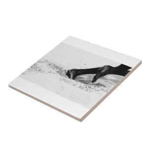 Azulejo corriendo de arena