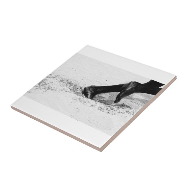 Azulejo corriendo de arena (Lado)