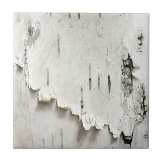 Azulejo Corteza de pájaro