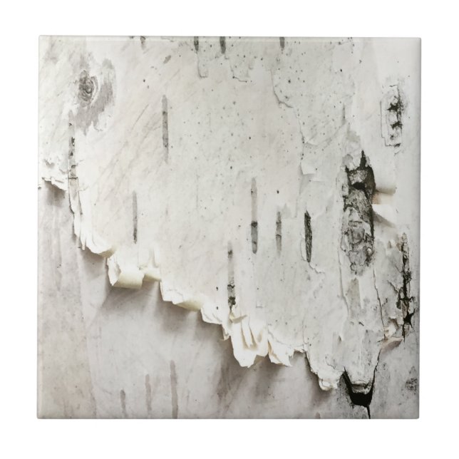 Azulejo Corteza de pájaro (Frente)