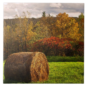 Azulejo Cosecha de otoño