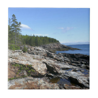 Azulejo Costa de la isla Bar en el Parque Nacional Acadia