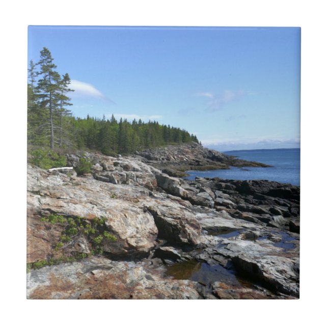 Azulejo Costa de la isla Bar en el Parque Nacional Acadia (Frente)