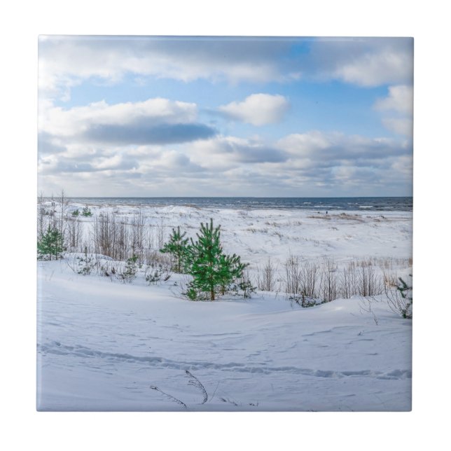 Azulejo Costa del Mar Báltico cubierta de nieve en inviern (Frente)