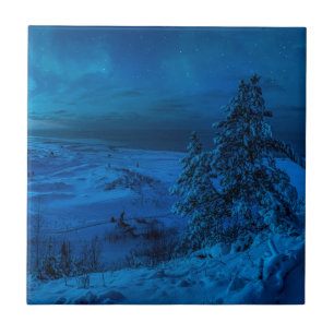 Azulejo Costa del mar de invierno a la luz de la luna