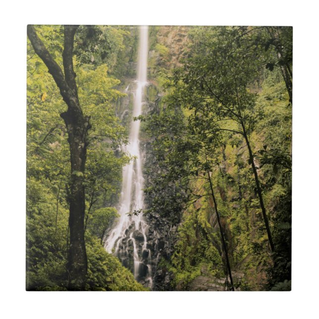 Azulejo Costa Rica, Isla del Coco, Cascada de Wafer Bay (Frente)