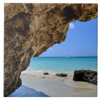 Costa Tropical de Playa con Roca Grande