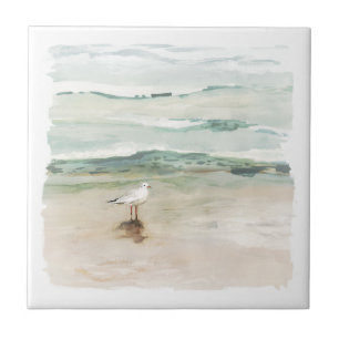 Azulejo Cove de gaviota