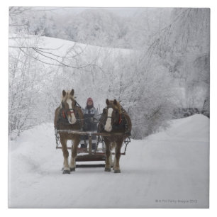 Azulejo Cowansville, Quebec, Canadá